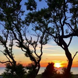 Meet your Posher, Joe